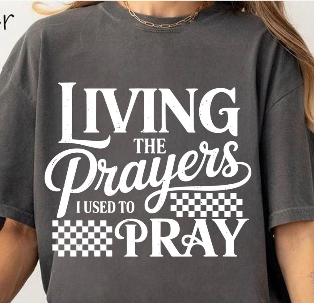 Living the Prayers I Used to Pray T-Shirt - Christian Graphic Tee - Faith-Based Testimony Shirt - Religious Gift for Her - Gildan Heavy Cotton